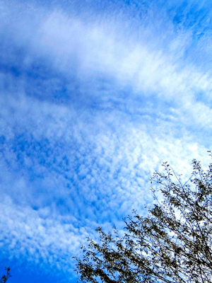 青空と雲